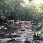 Casa Luisa Hébergement de vacances Puertas (Cabrales)