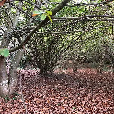 Casa Luisa Hébergement de vacances Puertas (Cabrales)