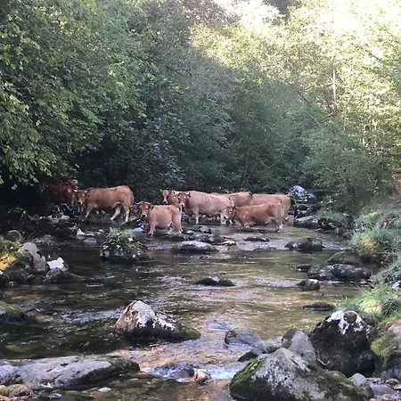 Casa Luisa Hébergement de vacances Puertas (Cabrales)