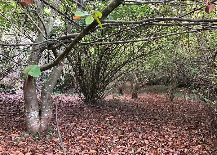 Casa Luisa Сasa de vacaciones Puertas (Cabrales)