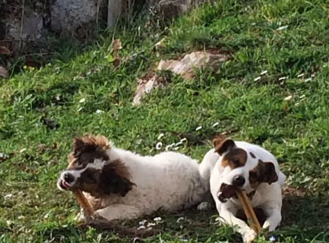 Casa Luisa Сasa de vacaciones Puertas (Cabrales)